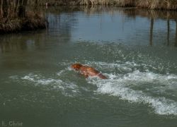 20140308  MG 0060