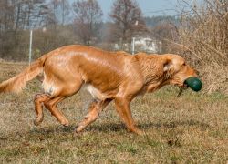 20140308  MG 0122