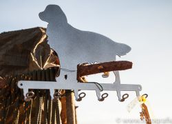 IMG 5513
