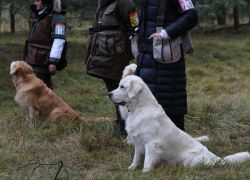 Isarcup2017 212